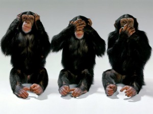 monkeys three see hear speak